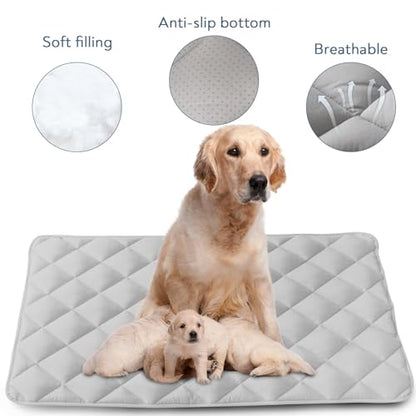Magik & Kover Dog Crate Pad 2 Pack (42" x 28"), Soft Dog Crate Mat with Anti-Slip Bottom, Machine Washable Kennel Pad, Fits 42 Inch, Grey - size: 42 x 28 Inch