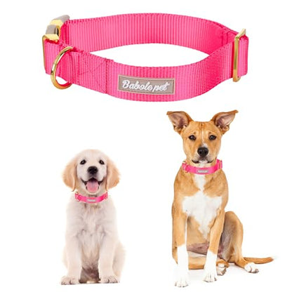 Nylon Dog Collar - Adjustable Rose Red Soft Webbing Dog Collars for Small Medium Large Dogs Boy Girl Puppy Collar with Safety Metal Buckle XS - color: Nylon-Rose Red, size: XS