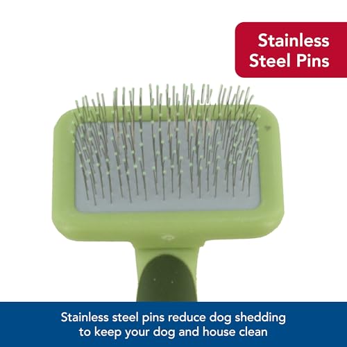 Coastal Pet Safari Dog Soft Slicker Brush - Dog Grooming Brush for Shedding - for Dogs with Short, Medium and Long Hair - Small - 6.5" x 2.5" - size: Small
