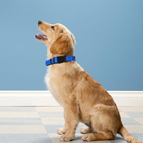 Reflective Dog Collar, Adjustable Soft Neoprene Padded Nylon Pet Collars with Buckle for Puppy and Small Dogs, Cats, Navy Blue,XS - color: Navy Blue, size: X-Small