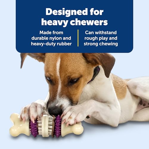 PetSafe Busy Buddy Bristle Bone, Large, Helps Keep Your Dog's Teeth Clean, Long-Lasting Playtime - size: Large, style: Bristle Bone