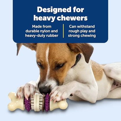 PetSafe Busy Buddy Bristle Bone, Large, Helps Keep Your Dog's Teeth Clean, Long-Lasting Playtime - size: Large, style: Bristle Bone