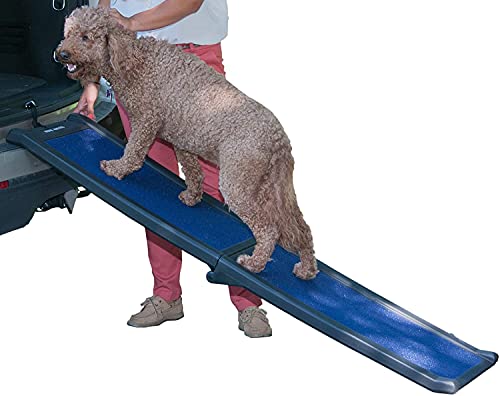 Pet Gear Travel Lite Ramps for Dogs and Cats, Black/Blue | Compact Easy-Fold, Lightweight and Portable, Built-In Carry Handle, Supports 150 lbs, 66" x 16" - color: Black/Blue