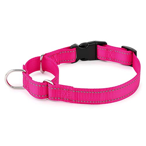 PLUTUS PET Reflective Martingale Collar with Quick Snap Buckle,No Pull Dog Choker Collar for Small Medium Large Dogs,XS,Hot Pink - color: Hot Pink, size: XS：10"-12"