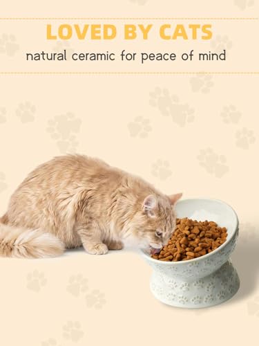 GDCZ Ceramic Tilted Elevated Cat Bowl, for Fat Faced Cat, Kitten (White) | 15° Tilted Elevated Design,5oz Small Meal Capacity,Chin-Friendly Ceramic,Paw Print - color: White