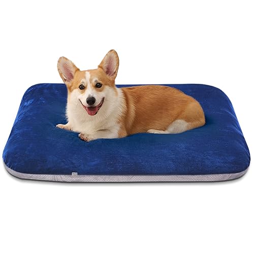 Magic Dog Super Soft Medium Dog Bed, 32 Inches Orthopedic Foam Pet Beds with Anti Slip Bottom, Dog Sleeping Mattress with Removable and Washable Cover, Blue M,32'' X 24'' X 3'' - color: Blue, size: 32.0"L x 24.0"W x 3.0"Th