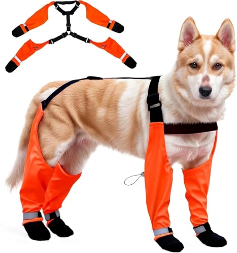 Dog Suspender Boots, Large Dog Rain Boots, Waterproof Dogs Boot Legging Pants, Anti-Slip Dogs Paw Protectors Stay-On Shoes with Suspenders for Outdoor Walk, Rain, Snow, Hike, Hot Pavement(XL,Orangeb) - size: X-Large