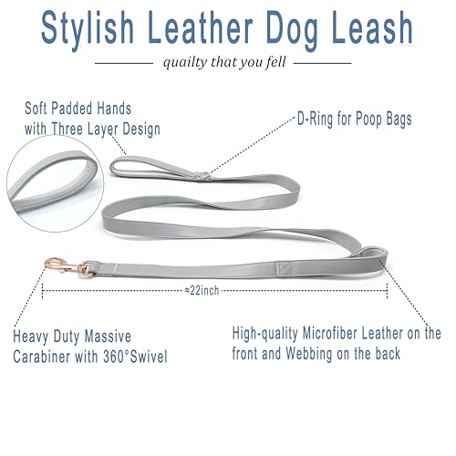 Dog Leash 6ft Long,Traffic Padded Two Handle,Heavy Duty,Double Handles Lead for Control Safety Training,Leashes for Large Dogs or Medium Dogs,Dual Handles Leads (Grey, 25MM*6FT) - color: Grey