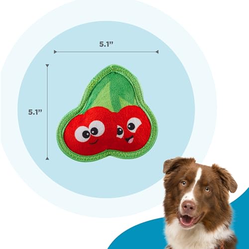 Outward Hound Tough Skinz Durable Squeaky Dog Toy with Two Tough Layers, Cherries, Red, Small - color: Cherries, size: Small