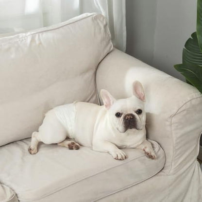 IMMCUTE Male Dog Wraps 50 Ct, Medium Size, Male Dog Diapers Disposable, Super Absorbent Leak-Proof Doggy Diapers,Belly Bands for Dogs with Wetness Indicator, Ideal for Indoor, Outdoor - size: Medium (50 Ct)