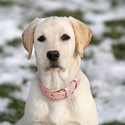 WHIPPY Leather Dog Collar for Small Medium Large Dog Adjustable Soft Breathable Leather Padded Puppy Collar with Alloy Buckle Heavy Duty Waterproof Classic Dog Pet Collar,Pink,L - color: pink, size: L:18" - 22"(1.18"width)