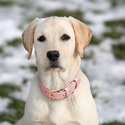 WHIPPY Leather Dog Collar for Small Medium Large Dog Adjustable Soft Breathable Leather Padded Puppy Collar with Alloy Buckle Heavy Duty Waterproof Classic Dog Pet Collar,Pink,M - color: pink, size: M:14" - 17"(0.98"width)