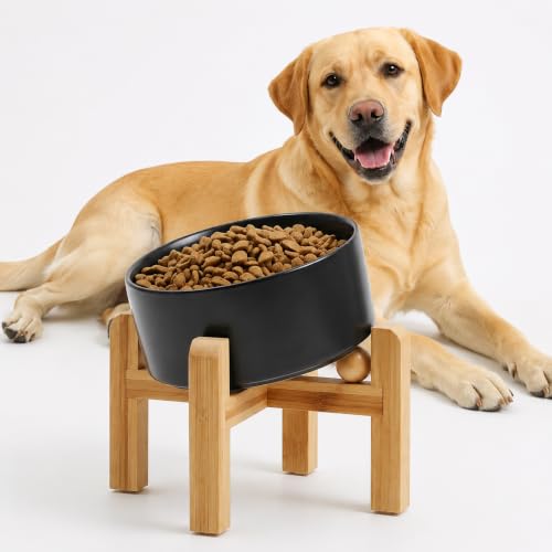 Petygooing Black Elevated/Raised 15° Slanted Ceramic Dog Bowl for Large and Medium Breeds, Pet Anti Slip Feeding Bowl,Food Water Dish with Stand for Large and Medium Dogs (60 OZ / 7.6 Cup) - color: Black, size: 7.6 CUPS - Medium Large Dog Bowls