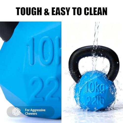 MECOOL Indestructible Dog Toy for Aggressive Chewers - Heavy Duty Chew Ring with Durable Nylon and Treat Dispenser Rubber Base, Interactive Food Puzzle Dog Chew Toy,Medium Blue for Puppy - size: S Blue