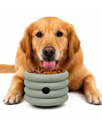 Should We Go? Interactive Dog Enrichment Toy with Freezer Plug, BPA-Free Silicone Puzzle Dog Freeze Bowl & Treat Dispenser for Mental Stimulation, Ideal for Kibble & Frozen Licks, Fits 17 oz, Large - size: Large