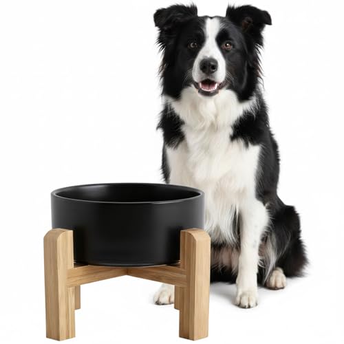 hjn Elevated Ceramic Dog Bowl with Bamboo Stand, Raised Pet Feeding Station for Small Medium Dogs Cats, Modern Design with Anti-Slip Base (Black, 7.6Cup) - color: Black, size: 7.6Cup
