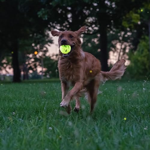 Chew King by Mammoth Glow-in-the-Dark Dog Fetch Balls (2-Pack), Lattice Rubber Fetch Toys for Night Play, High Bounce, Rechargeable Under Any Light, Medium 3.25" - color: D) 2-Pack Lattice (3.25" Balls)