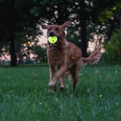 Chew King by Mammoth Glow-in-the-Dark Dog Fetch Balls (2-Pack), Lattice Rubber Fetch Toys for Night Play, High Bounce, Rechargeable Under Any Light, Medium 3.25" - color: D) 2-Pack Lattice (3.25" Balls)