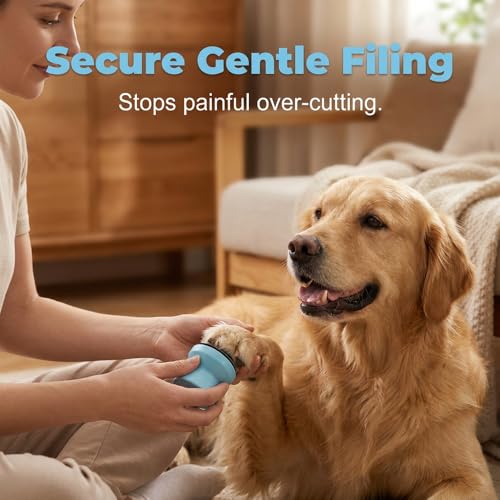 Silent Dog Nail File, 2026 Wooden Scratch Board with Replaceable Sandpaper Filing Disc, Dogs Self Nails Files Board Pet Nail Care Tool for Large and Small Breeds (3pcs) - color: 3pcs