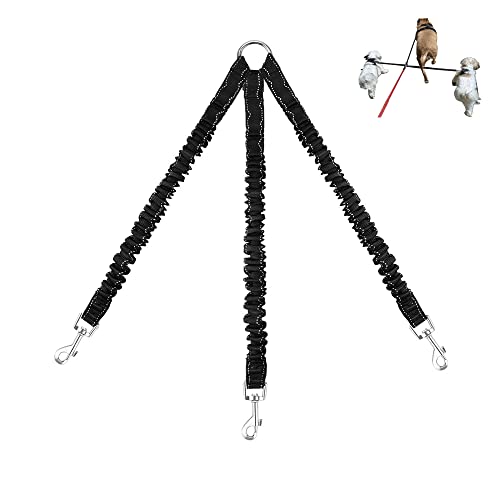 3 Way Dog Leash Coupler Heavy Duty No Pull Multiple Double Tangle Free Trio Nylon Bungee Cord Stretchy Sturdy Pups Lead for Small Medium Dogs Training Walking Doggy Puppy