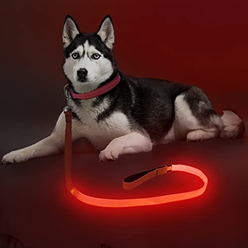 Colaseeme LED Light Up Dog Leash, USB Rechargeable (4FT,Red) | Glow in dark, reflective, USB-C rechargeable, bright LED for night safety, fits small to large dogs - color: Red, size: 4FT