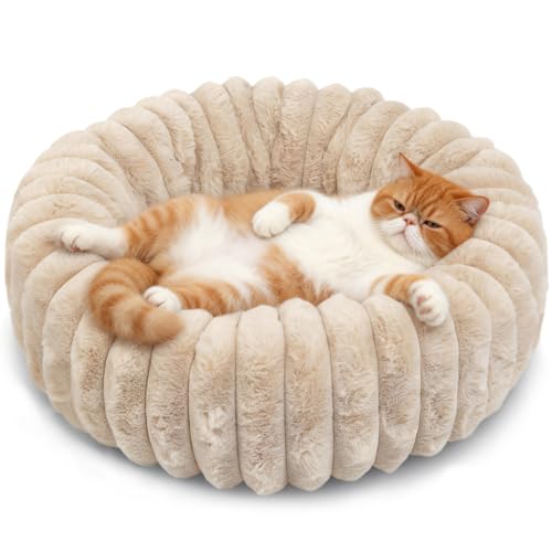 Small Pet Bed for Indoor Cats and Puppy - Washable Donut Extra Small Dog Beds for Small Dogs with Anti Slip Bottom, Fluffy Calming Round Bed for Puppy & Kitten Cozy Sleep, Beige, XS -19 Inch - color: Beige, size: 19"L x 19"W x 5"Th