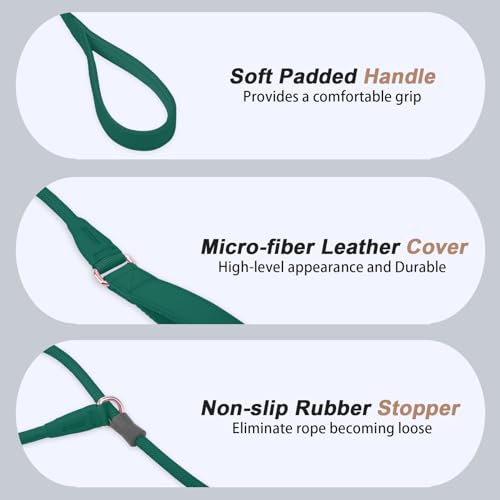 Slip Lead Dog Leash, Dog Training Leash with Double Handle, Soft Leather Slip Leash and Collar, Heavy Duty Nylon Dog Lead, No Pull Walking for Medium Large Small Dogs 5ft Dark Green - color: Dark Green, size: 5ft
