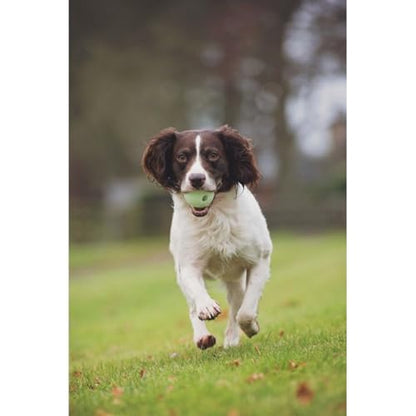 Chuckit! Glow in the Dark Bouncy Balls - Ball for Dogs, Chuckit Dog Toy, Max Glow Balls - Extra-Large, 3.5 Inch, Pack of 1 - size: Extra-Large