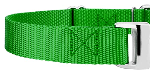 Country Brook Petz - Martingale Dog Collar - Heavy Duty Nylon Adjustable Martingale Dog Collar with Premium Buckle for Small Medium Large Breeds (5/8 Inch, Extra Small, Hot Lime Green) - color: Hot Lime Green, size: Extra Small (Pack of 1)