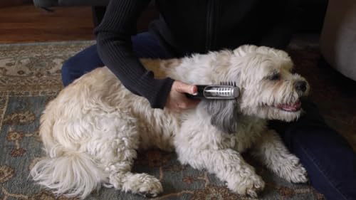 MISTIC COOL Alpha Pro Dog Trimmer for Grooming | Painlessly Removes Knots & Tangles from Long Haired Dogs | Dematting Comb for Dogs & Cats, Pet Grooming Tool