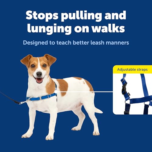 PetSafe Easy Walk No-Pull Dog Harness - Ultimate Harness to Help Stop Pulling - Pull-Free Walks - Take Control & Teach Better Leash Manners - Patented Martingale Loop Design - Royal Blue, Small - color: Royal Blue/Navy Blue, size: Small