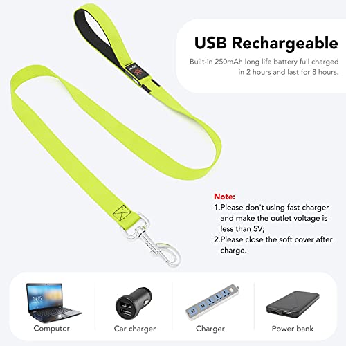 Colaseeme LED Light Up Dog Leash, USB Rechargeable (4FT,Green) | Glow in dark, reflective, USB-C rechargeable, bright LED for night safety, fits small to large dogs - color: Green, size: 4FT