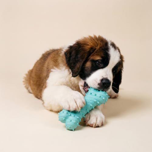Playology Dog Toys | Teething Bone for Large Puppies and Young Dogs | Peanut Butter Scented Jumbo Dog Bone Chew Toy | Teething Puppy Essentials - size: Jumbo, style: Peanut Butter