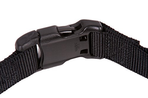 GoGo Pet Products GoGo 3/4-Inch Martingale Dog Collar, Medium, Black - color: Black, size: Medium (3/4" web width)