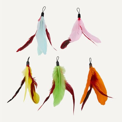Amazon Basics Cat Feather Toy Kit with 2 Telescoping Wands and 10 Feather Attachments, Natural Feathers, for Adult Cats and Kittens - style: Cat feather toy kits