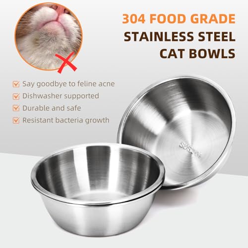 Elevated Cat Food Bowl,15°Tilted Stand Anti Vomiting Raised Cat Dishes for Food and Water,2 Stainless Steel Bowls,Non-Slip No Spill,Cats and Puppy - size: Stainless Steel-2 Bowls