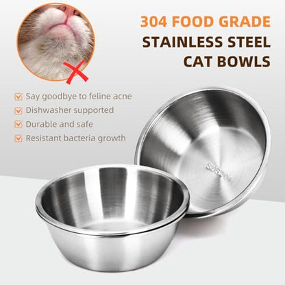 Elevated Cat Food Bowl,15°Tilted Stand Anti Vomiting Raised Cat Dishes for Food and Water,2 Stainless Steel Bowls,Non-Slip No Spill,Cats and Puppy - size: Stainless Steel-2 Bowls