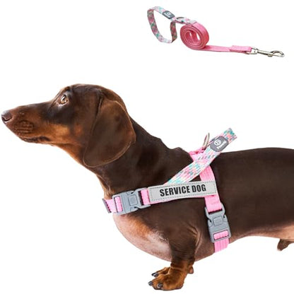 Service Dog Harness and Leash Set, No-Pull Service Dog Vest with 4 PCS Reflective Patches, Dog Vest Harness with Handle, Pet Harness for Small Medium Large Dogs in Training (Pink, S) - color: Pink (Leash + Harness + 4 Patches), size: Small (Chest: 19-25")