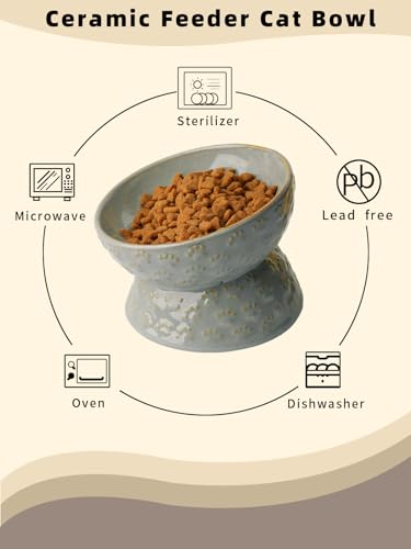 GDCZ Ceramic Tilted Elevated Cat Bowl, for Fat Faced Cat, Kitten (Grey) | 15° Tilted Elevated Design,5oz Small Meal Capacity,Chin-Friendly Ceramic,Paw Print - color: Grey
