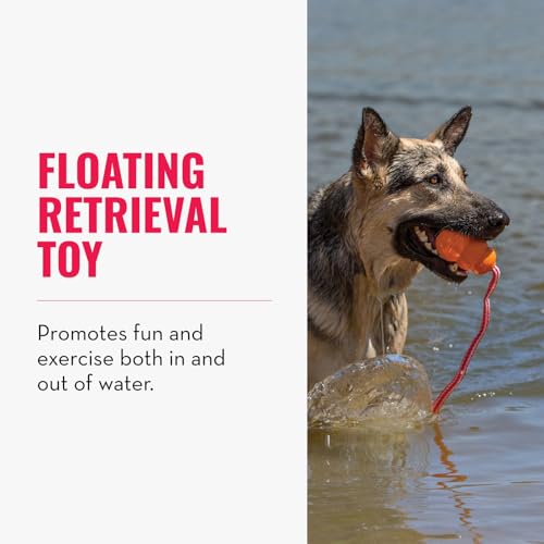 KONG Aqua Floating Fetch Toy - Dog Floating Toy for Water Retrieval, Play, Exercise & More - Natural Rubber Dog Toy with Foam Interior & Rope for Farther Throwing - Orange, for Large Dogs - size: Large (Pack of 1)