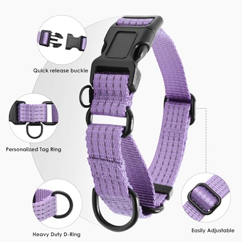 Martingale Dog Collar, Reflective No Pull Training Collar with Quick Release Buckle, Adjustable Heavy Duty Nylon Choker Collars for S M L Dogs (Lavender, S (1" x 12"-15.8")) - color: Lavender, size: S (1" x 12"-15.8")