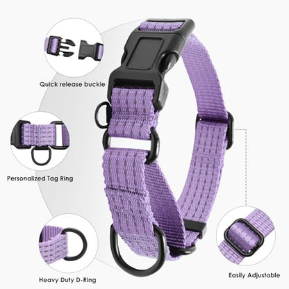 Martingale Dog Collar, Reflective No Pull Training Collar with Quick Release Buckle, Adjustable Heavy Duty Nylon Choker Collars for S M L Dogs (Lavender, M (1" x 15.5"-19.5")) - color: Lavender, size: M (1" x 15.5"-19.5")