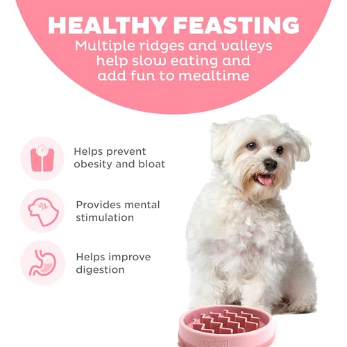 Outward Hound Fun Feeder Slo Bowl – Small 3/4-Cup Capacity, Slow Feeding, Small Dogs, Puppies & Cats, Non-Slip, Pink, Wave Pattern - color: Pink, size: Small