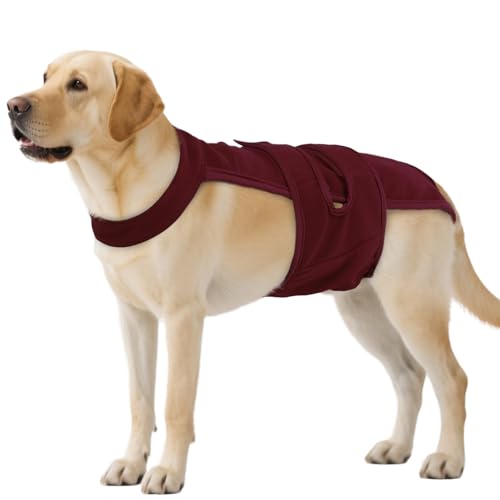 QBLEEV Female Dog Diapers with Adjustable Suspenders – Washable Sanitary Panties for Dogs in Heat or Incontinence, Escape-Proof Reusable Pet Period Underwear Onesie for Small to Large Breeds - color: WineRed, size: L（Back Length:16.5"）