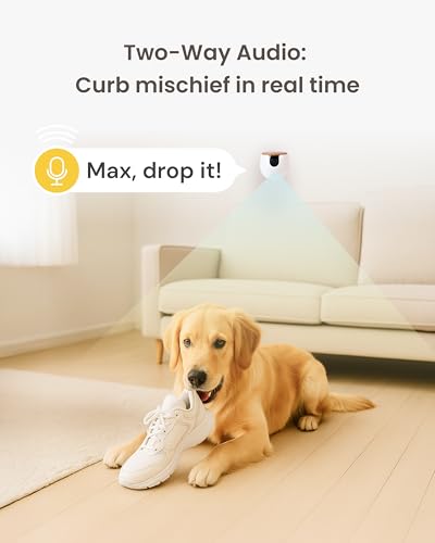 Furbo Mini Pet Camera: Basic See & Talk Features, No AI Alerts, No Subscription Required, Pet Security Cam w/Barking/Meowing Alerts, Rotating View, 2-Way Audio, Smart Home Monitoring - style: Mini Camera