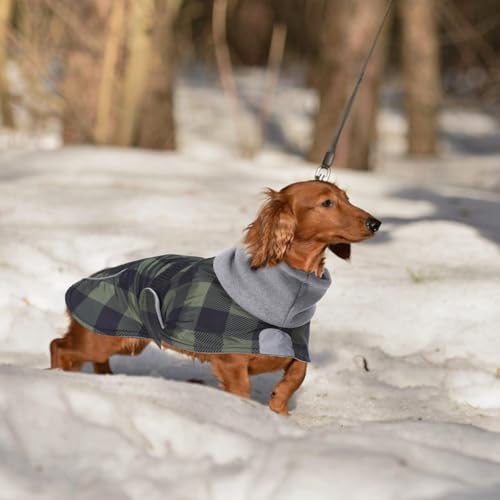 Dachshund Coats Waterproof Suitable for Dachshunds Sausage Weiner Dog Winter Coat Padded Fleece Puppy Snowsuit with Adjustable Bands Reflective Stripe - Plaid Green - S - color: Plaid Green, size: Small
