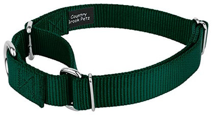 Country Brook Petz - Green Martingale Heavyduty Nylon Dog Collar and Double Handle Leash (1 Inch, Medium) - color: Green, size: Medium (Pack of 1)