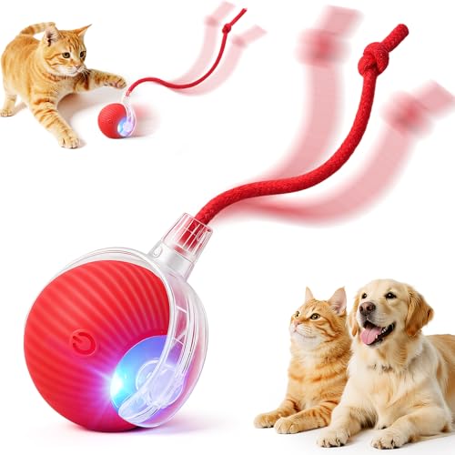Smart Interactive Automatic Electric Rolling Moving Rechargeable Motion Activated Self Play Electronic Stimulation Chase Teaser Ball Toy with Rope for Indoor Bored Adult Cat and Dog, Red - color: Red