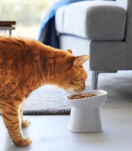 Yamazaki Home Tower Elevated Ceramic Pet Food Bowl - Angled, Non-Slip, Microwave & Dishwasher Safe - 6.7Oz - color: White
