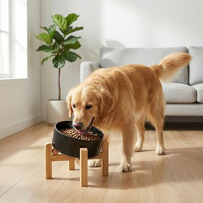 hjn Elevated Ceramic Dog Bowl 15°Slanted Raised Dog Bowl with Bamboo Stand for Small Medium Dogs and Cats, Pet Feeder -7.6-Cup (1800ml)-Black - color: Black, size: 7.6Cup